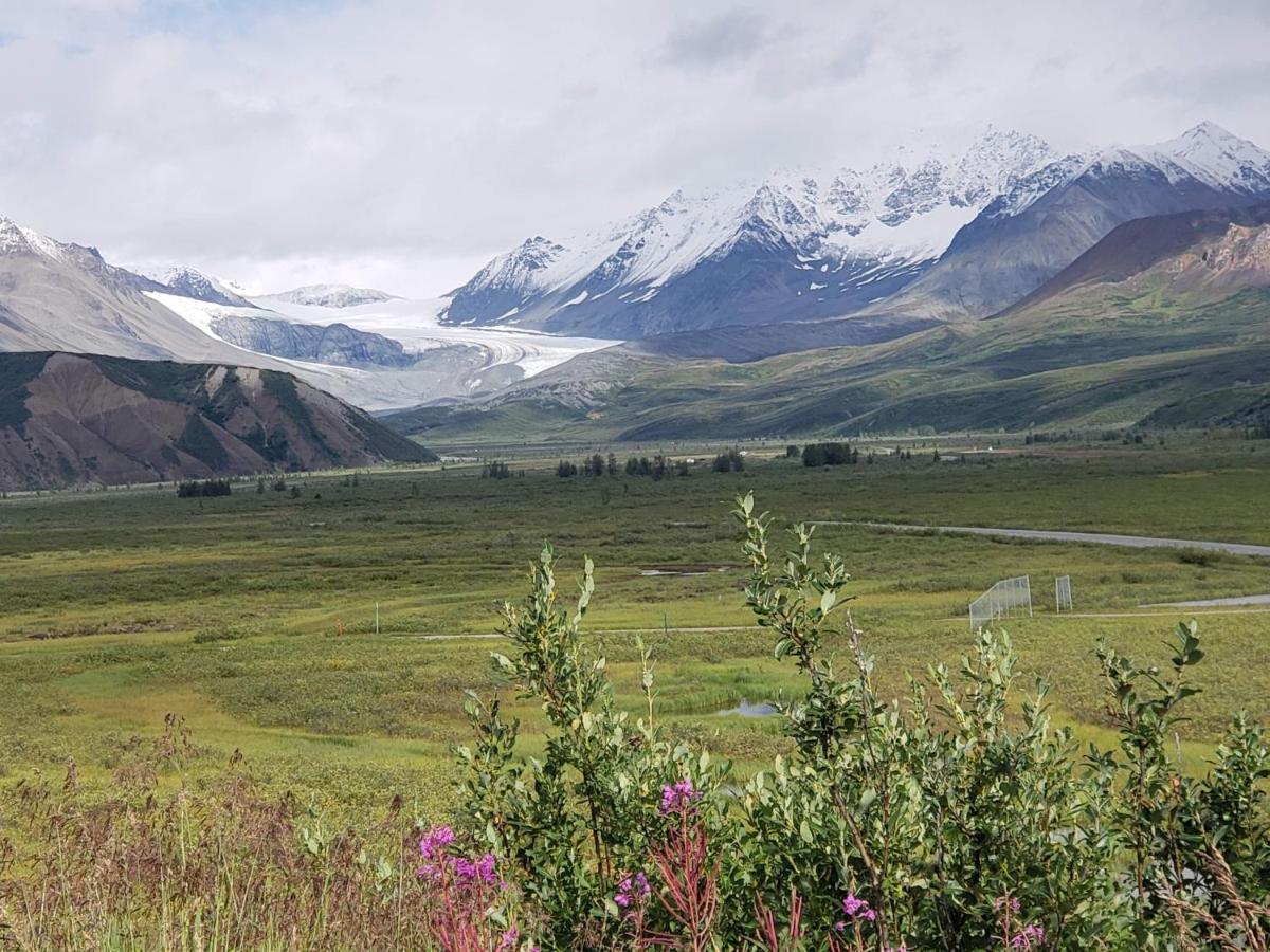 Denali Wild Stay - Moose Cabin, Free Wifi, 2 Private Bedrooms, Sleep 6 Healy Bagian luar foto