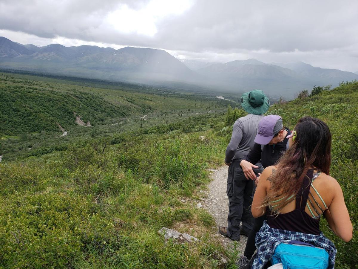 Denali Wild Stay - Moose Cabin, Free Wifi, 2 Private Bedrooms, Sleep 6 Healy Bagian luar foto