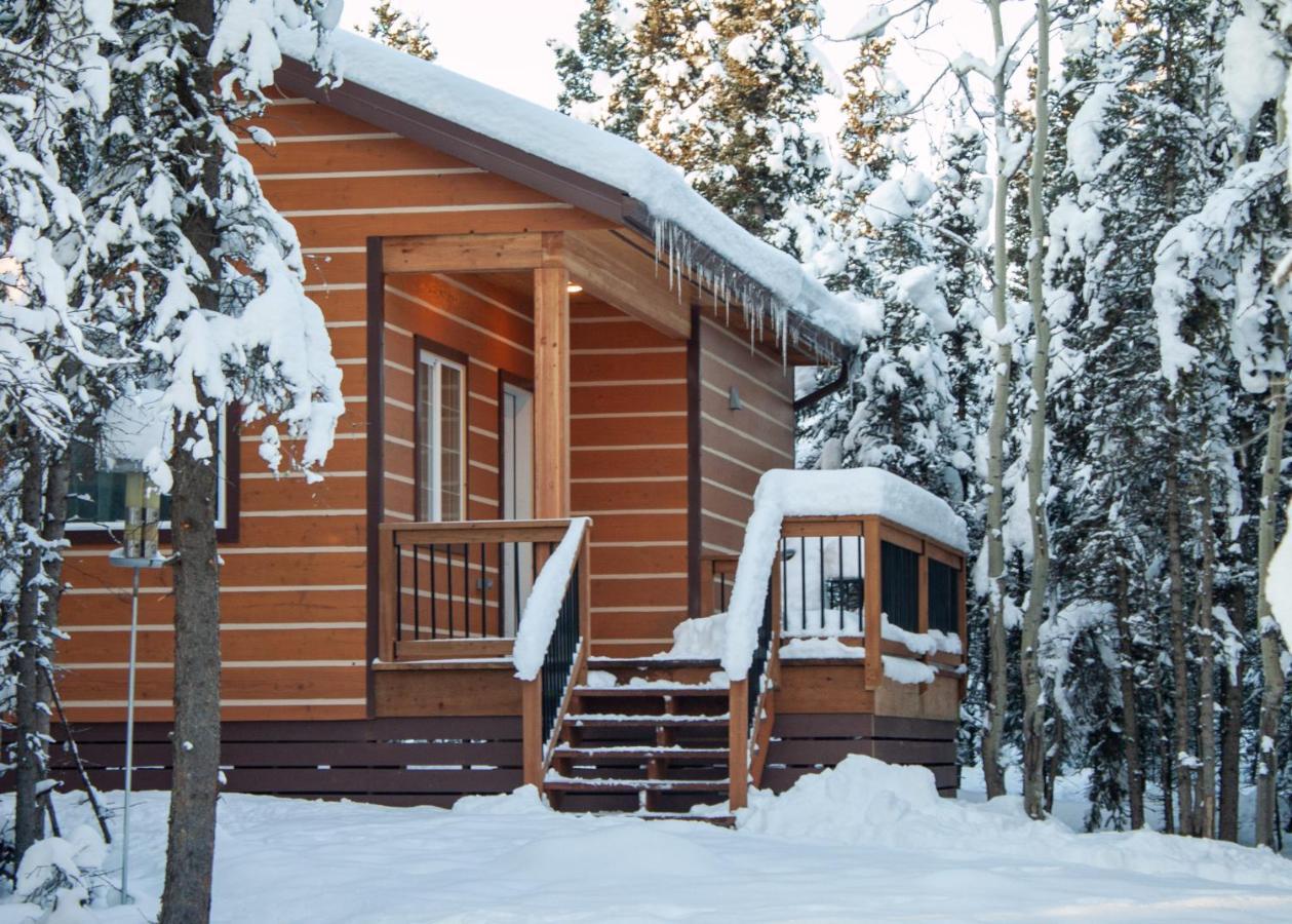 Denali Wild Stay - Moose Cabin, Free Wifi, 2 Private Bedrooms, Sleep 6 Healy Bagian luar foto
