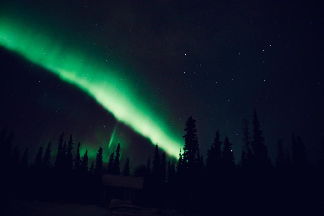 Denali Wild Stay - Moose Cabin, Free Wifi, 2 Private Bedrooms, Sleep 6 Healy Bagian luar foto