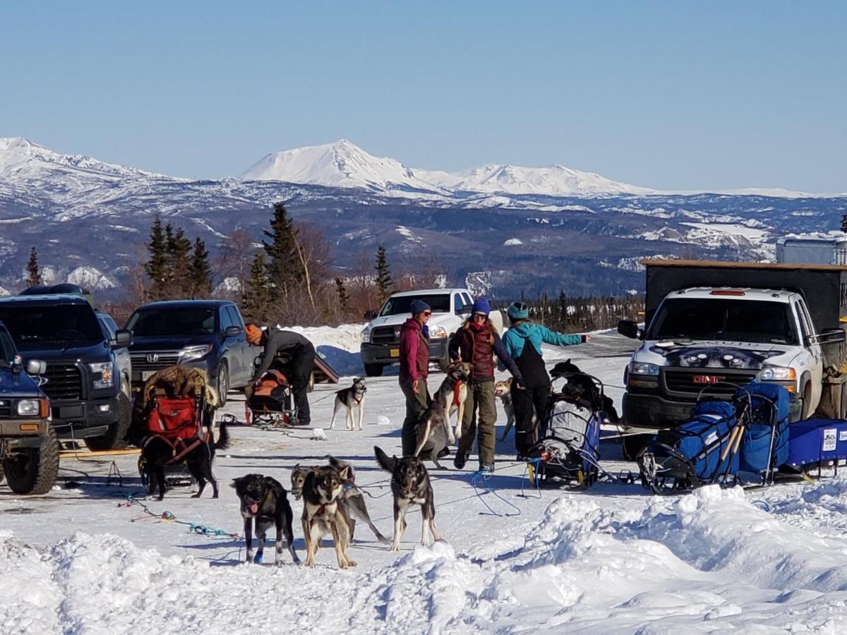 Denali Wild Stay - Moose Cabin, Free Wifi, 2 Private Bedrooms, Sleep 6 Healy Bagian luar foto