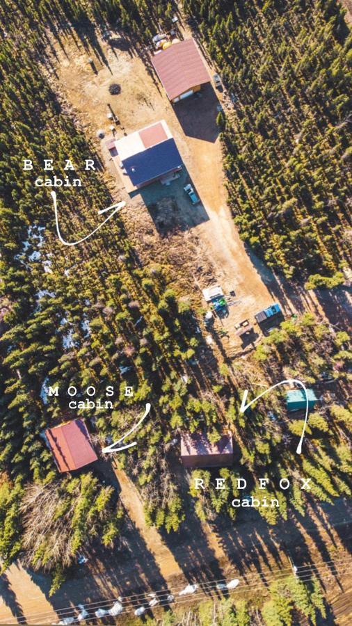 Denali Wild Stay - Moose Cabin, Free Wifi, 2 Private Bedrooms, Sleep 6 Healy Bagian luar foto